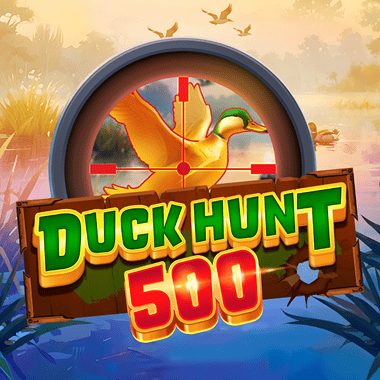 Duck Hunt 500