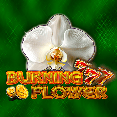 Burning Flower