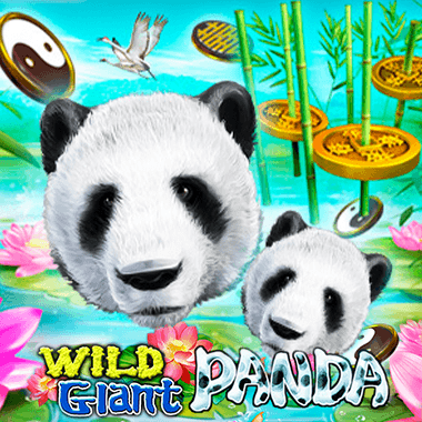 Wild Giant Panda