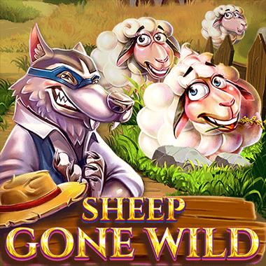 Sheep Gone Wild